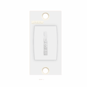 Fuse (10 Amp.)